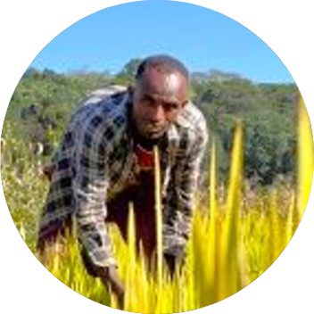 A person crouches among tall yellow-green plants in a field, with a distant landscape visible in the background.