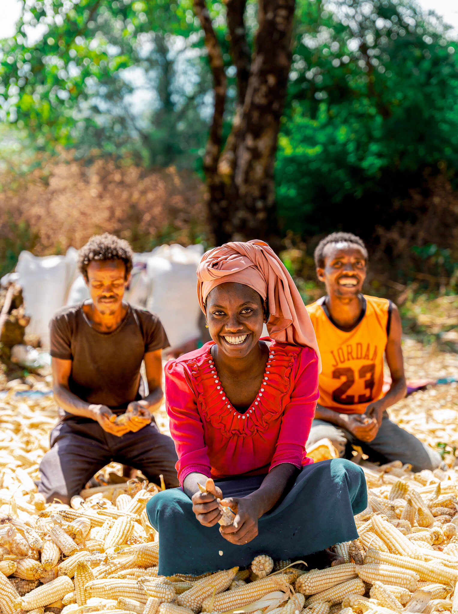 Three people are sitting on the ground, smiling while peeling corn, surrounded by piles of husked corn in a sunny outdoor ...