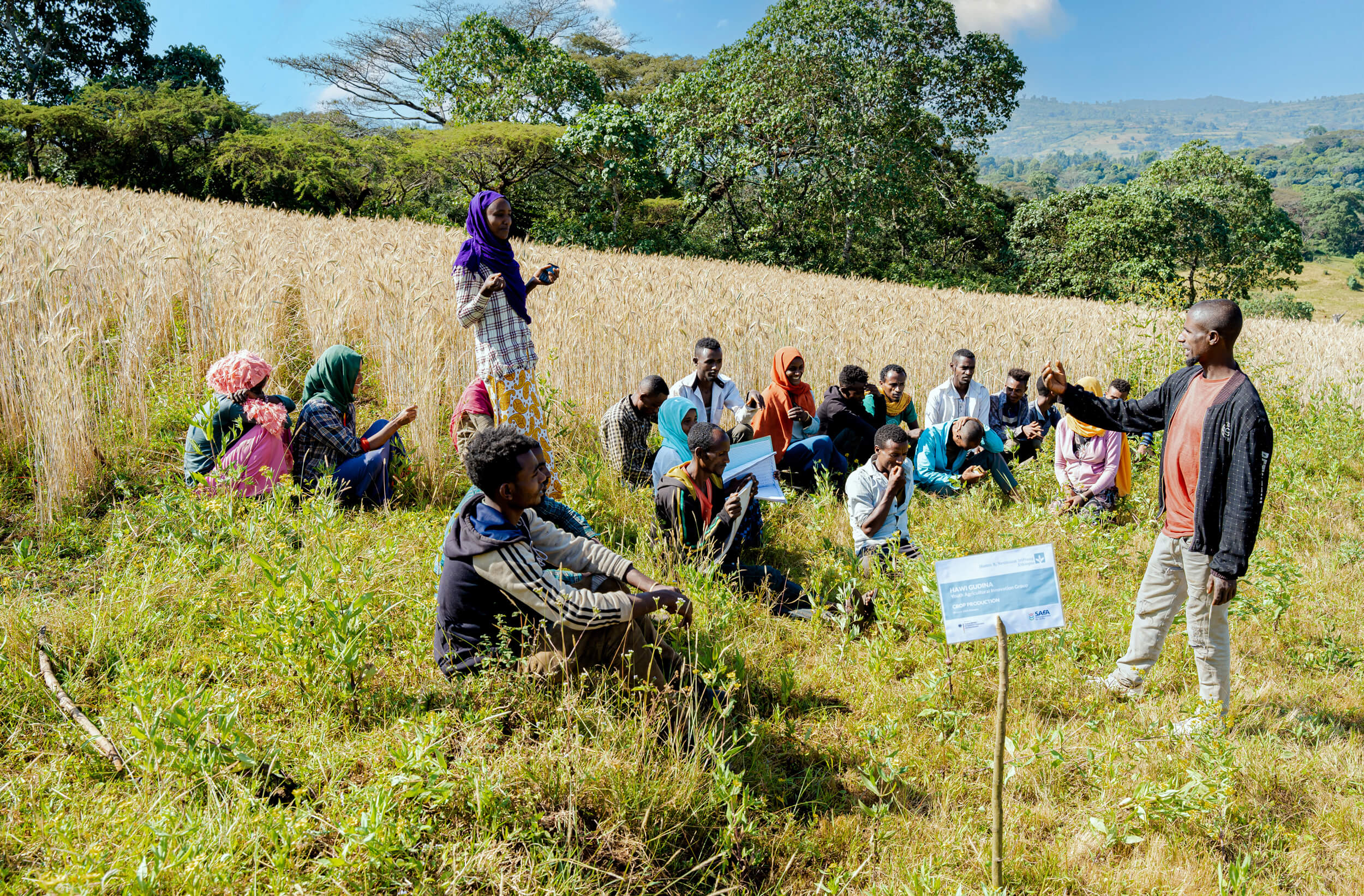 A group of people sits in a field, listening to a speaker among wheat and trees under a clear sky.